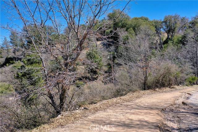 Cedar Glen, CA 92321,185 Lots 185 & 187 Acacia Road