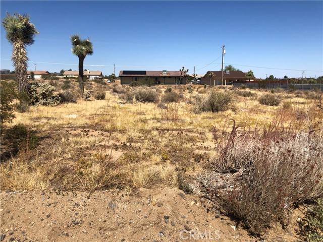 Yucca Valley, CA 92284,0 Pimlico Street
