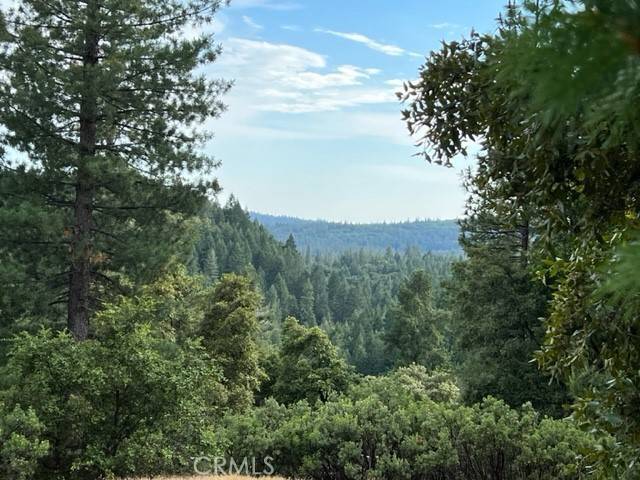 Grass Valley, CA 95945,12444 Manion Canyon Road