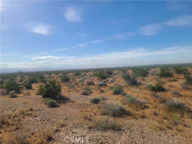 Adelanto, CA 92301,0 Wrigley Road