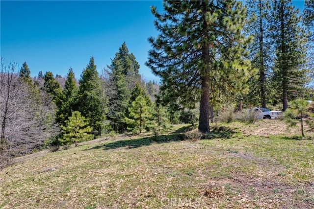 Lake Arrowhead, CA 92352,159 Mill Pond Road