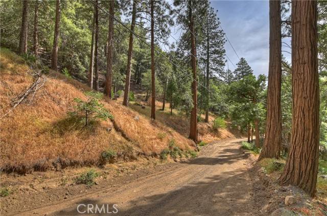 Cedarpines Park, CA 92322,110 Lots 110-123 Burnt Mill Canyon Road