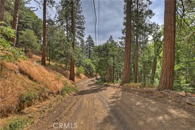 Cedarpines Park, CA 92322,110 Lots 110-123 Burnt Mill Canyon Road