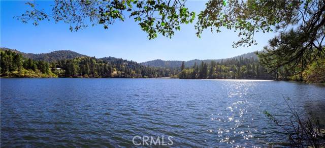 Crestline, CA 92325,24761 Basel Drive