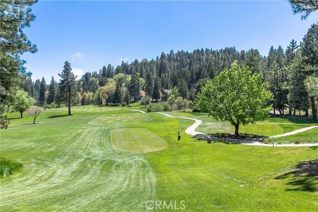 Lake Arrowhead, CA 92352,157 Brentwood Drive