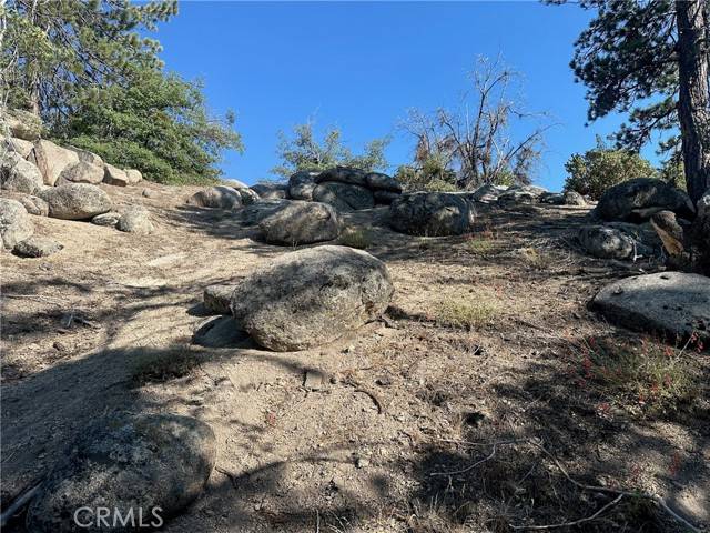 Los Angeles, CA 92382,0 Hillcrest Drive