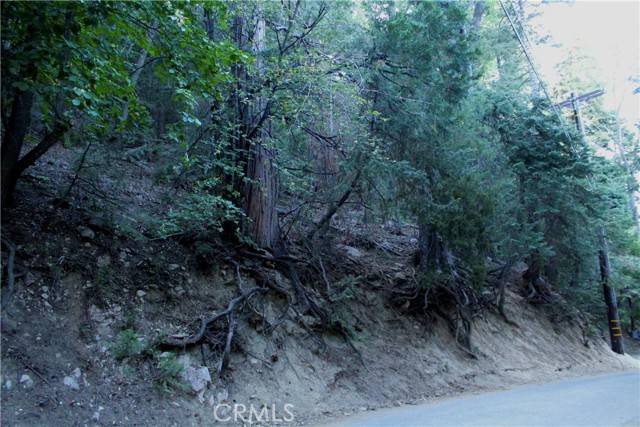 Lake Arrowhead, CA 92352,0 Community