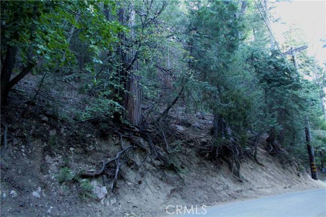 Lake Arrowhead, CA 92352,0 Community