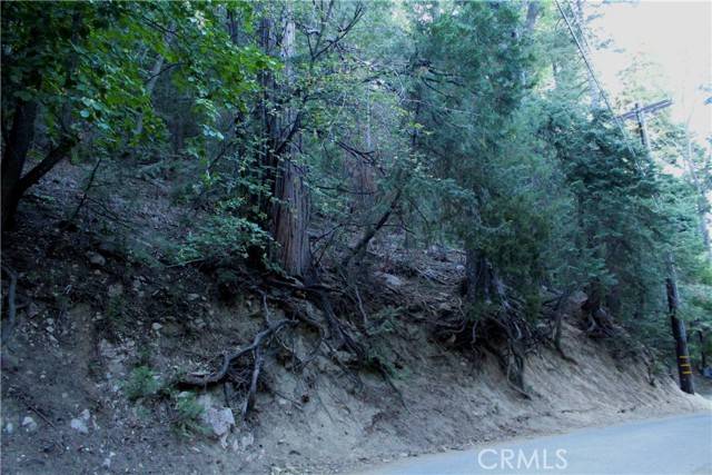 Lake Arrowhead, CA 92352,0 Community