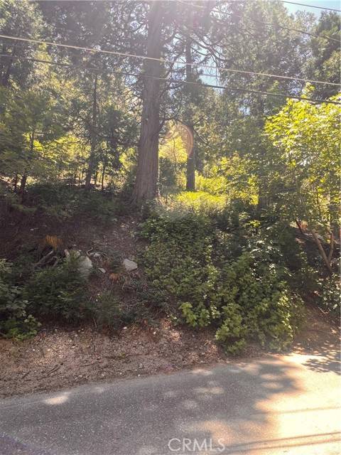 Crestline, CA 92325,0 Nesthorn