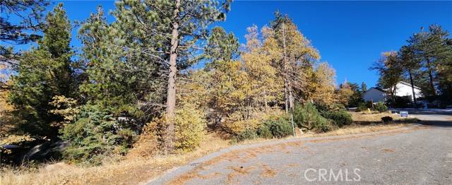 Running Springs, CA 92382,32240 Whisper Drive