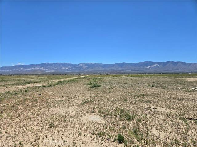 Lucerne Valley, CA 92356,0 Wilderness Road