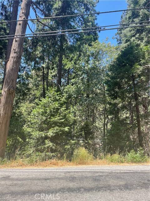 Lake Arrowhead, CA 92352,718 Arrowhead Villas Rd.