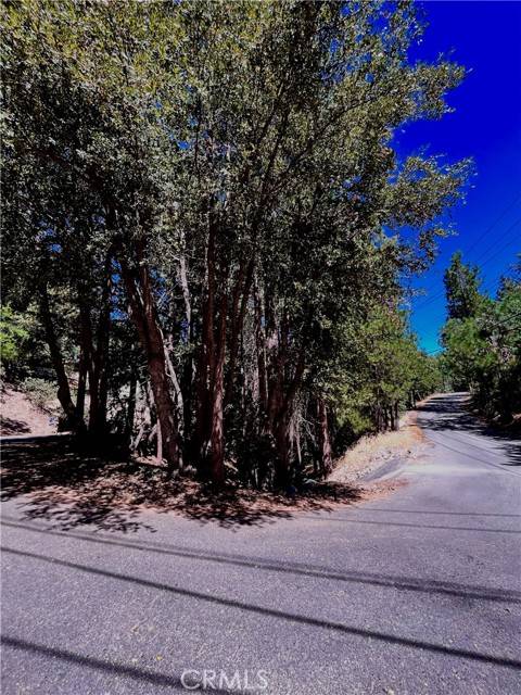 Lake Arrowhead, CA 92352,0 Rock Ridge Way