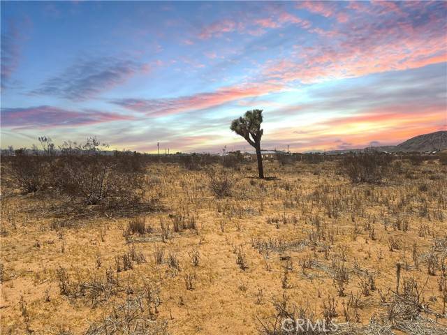 Yucca Valley, CA 92284,0 Kuna Avenue