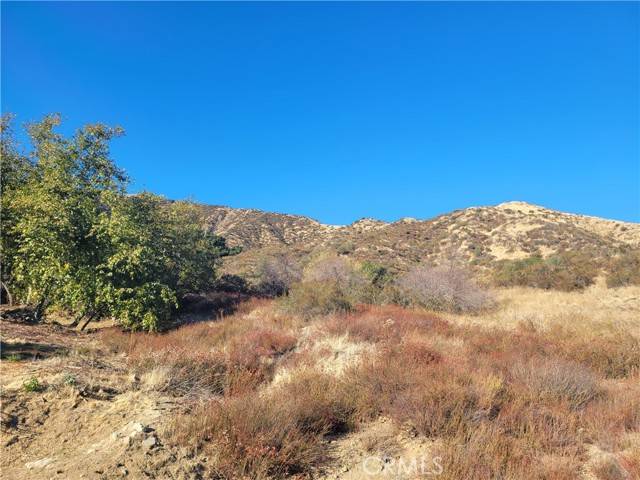 Cherry Valley, CA 92223,0 Lofty Lane