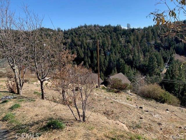 Lake Arrowhead, CA 92352,26805 Inyo Court