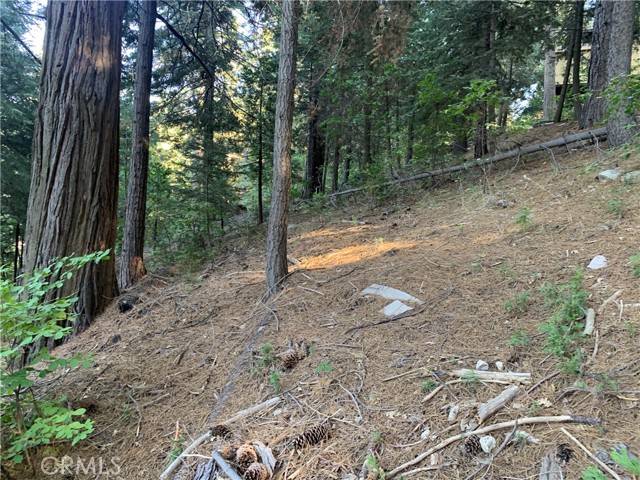 Twin Peaks, CA 92391,0 Lake Forest Drive