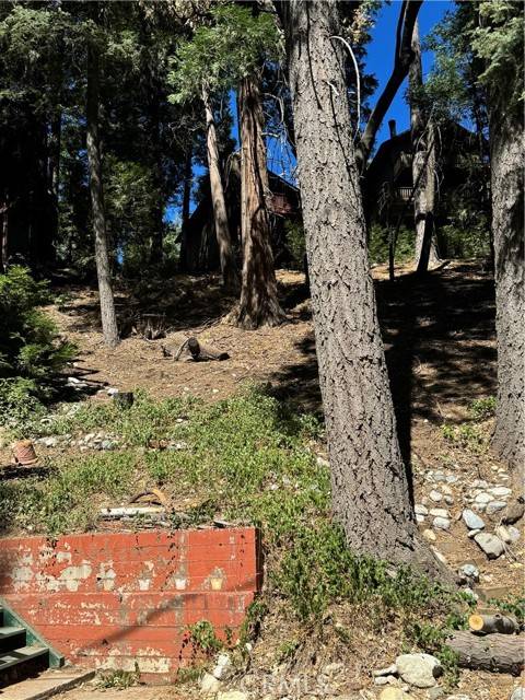 Lake Arrowhead, CA 92352,0 Oakmont Lane