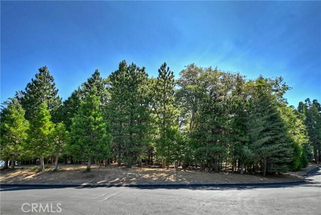 Lake Arrowhead, CA 92352,388 Cedar Ridge Drive