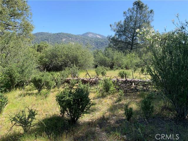 Oakhurst, CA 93644,222 Rd 222