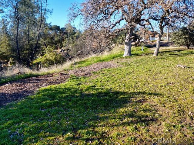 Coarsegold, CA 93614,0 Lot 1220 Corral Drive