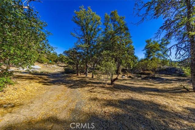 Mariposa, CA 95338,4200 Silver Lane Road