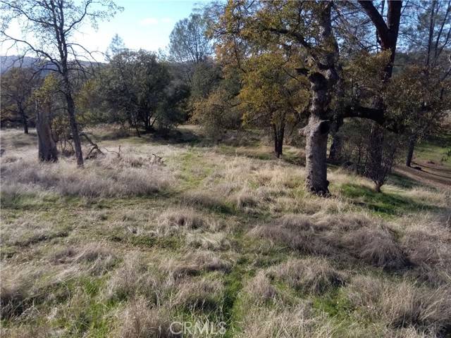 Coarsegold, CA 93614,0 Limestone Circle