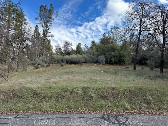 Coarsegold, CA 93614,0 Deer Path Circle