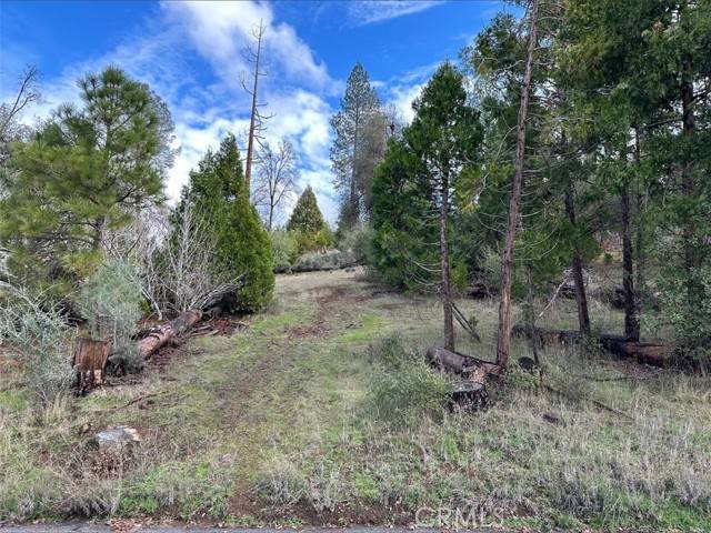 Coarsegold, CA 93614,0 Deer Path Circle