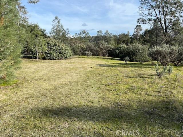 Coarsegold, CA 93614,0 S Long Hollow Court