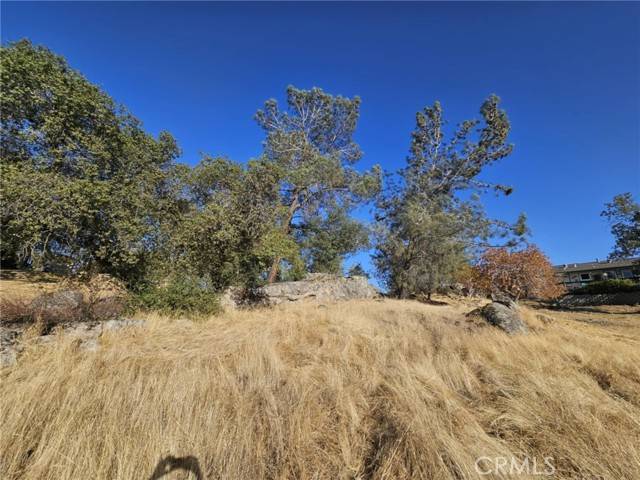 Coarsegold, CA 93614,0 Corral Drive