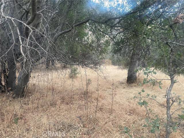 Ahwahnee, CA 93601,43020 Apache Ranch Road