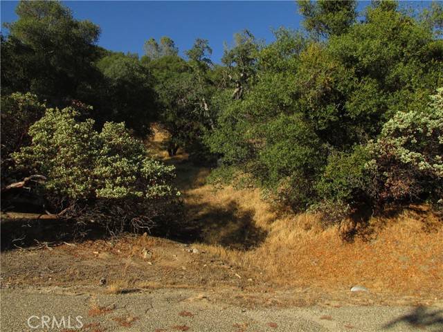 North Fork, CA 93643,2 Old Oaks Court