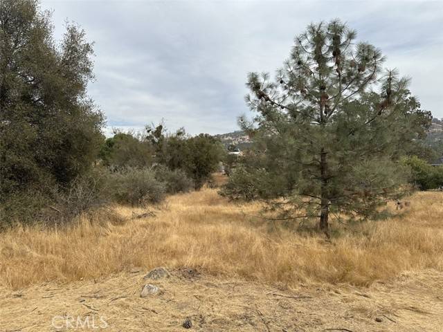 Coarsegold, CA 93614,0 Jim Bowie Court