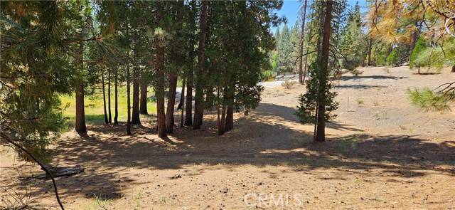North Fork, CA 93643,108 Forest Road