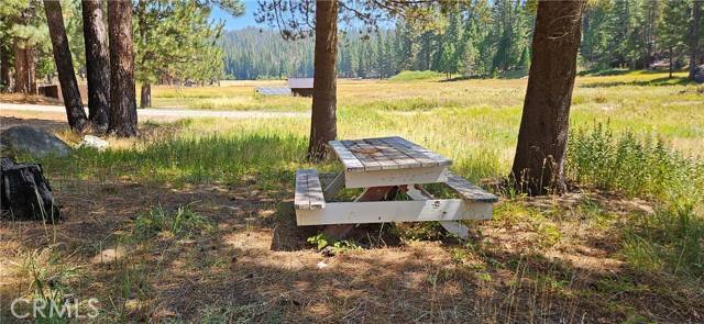 North Fork, CA 93643,108 Forest Road