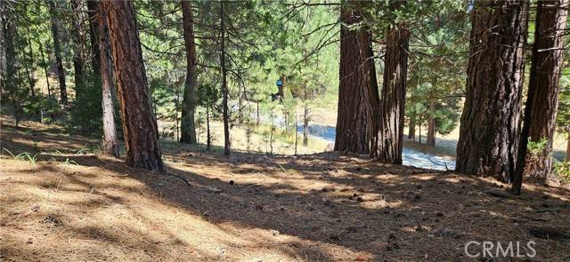 North Fork, CA 93643,108 Forest Road