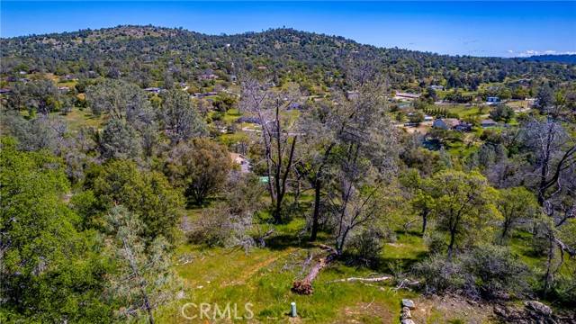 Coarsegold, CA 93614,0 Jim Bowie Court