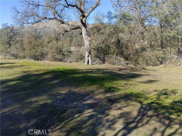 Coarsegold, CA 93614,0 Deep Forest Drive