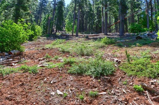 Merced, CA 95389,7420 Henness Ridge Road