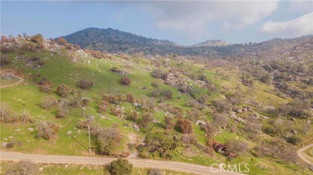 Squaw Valley, CA 93675,0 Pepperweed
