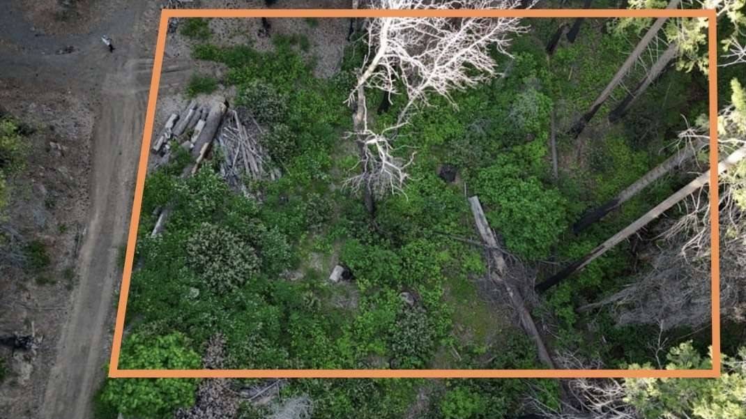 Berry Creek, CA 95916,0 Toyon Trail