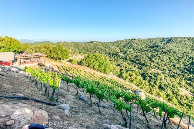 Squaw Valley, CA 93675,50806 Bramble Lane