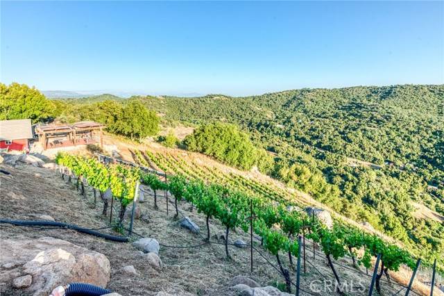 Squaw Valley, CA 93675,50806 Bramble Lane