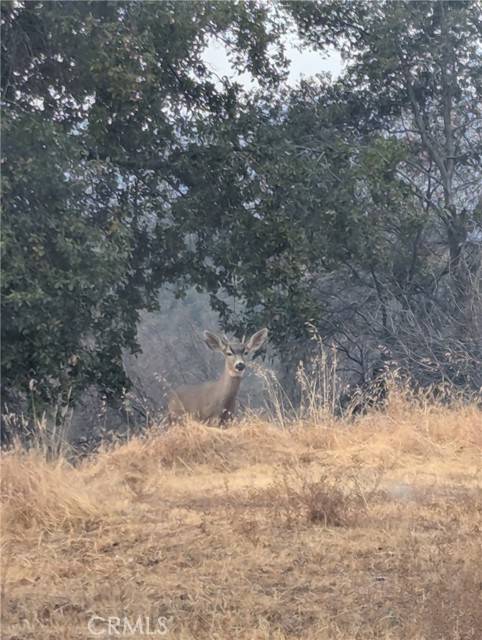 Mariposa, CA 95338,4548 Triangle Road