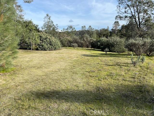 Coarsegold, CA 93614,1713 S Longhollow Court