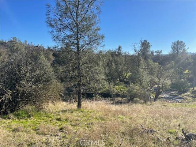 Coarsegold, CA 93614,741 Long Hollow Drive