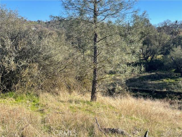 Coarsegold, CA 93614,741 Long Hollow Drive
