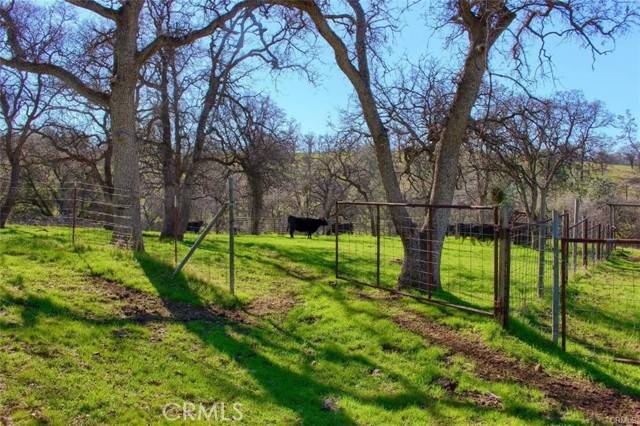 Mariposa, CA 95338,160 AC Cotton Creek Rd